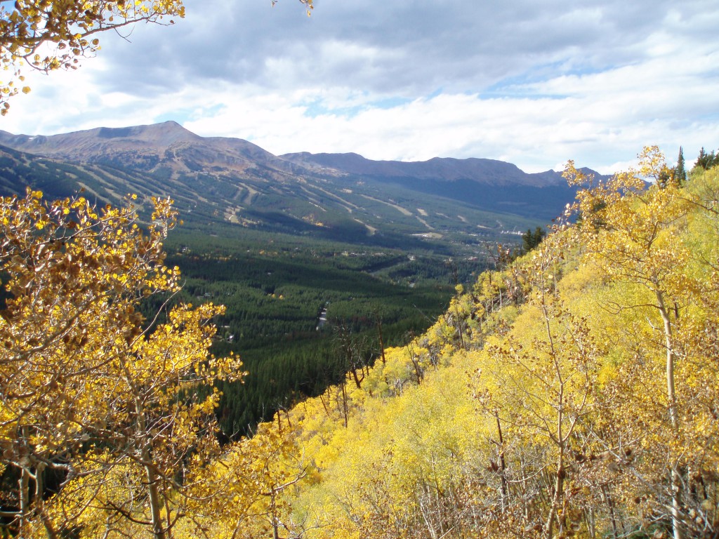 Fall Foliage - Colorado Mountain Colors Reaching Their Peak - Mountain
