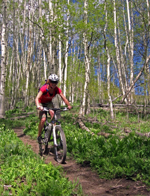 Crested Butte mtn guides