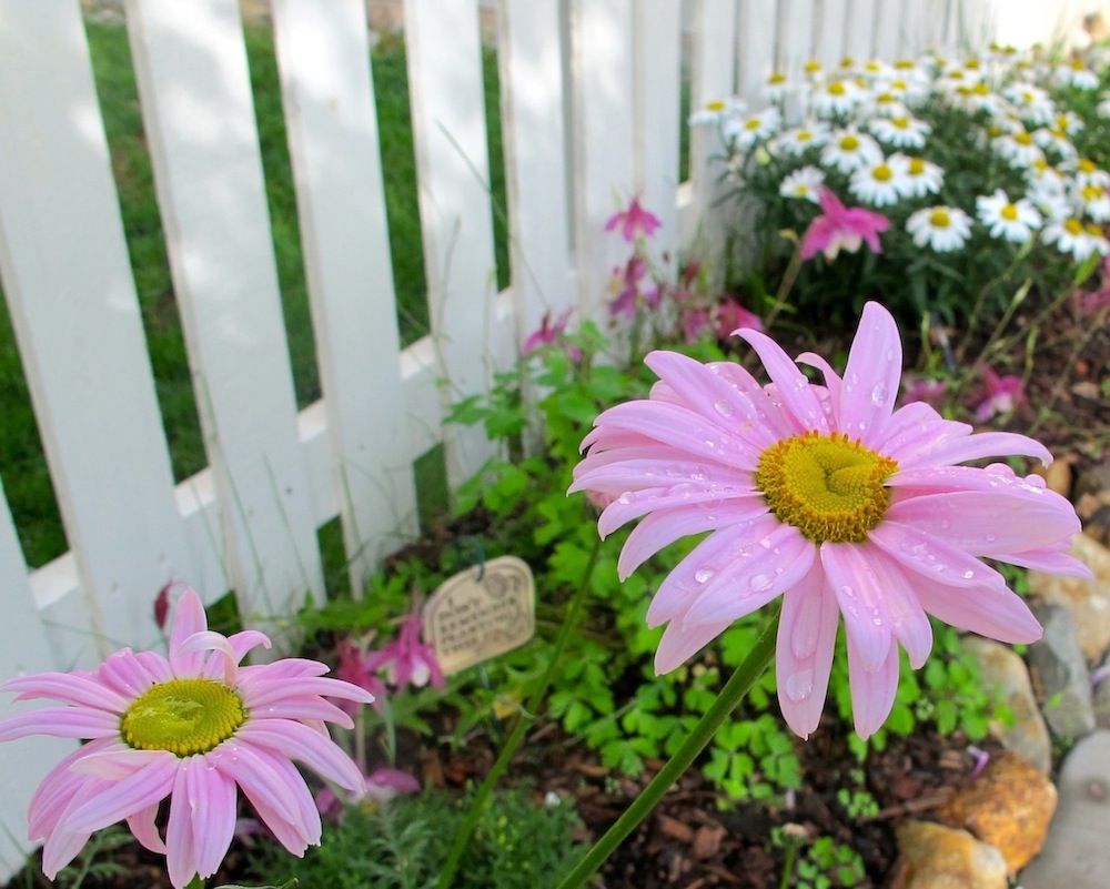 The Wellington Neighborhood Dwell in a Colorado MTN Town