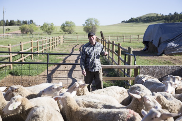 Visit Mountain Grown Colorado Farms & Ranches Mountain Town Magazine