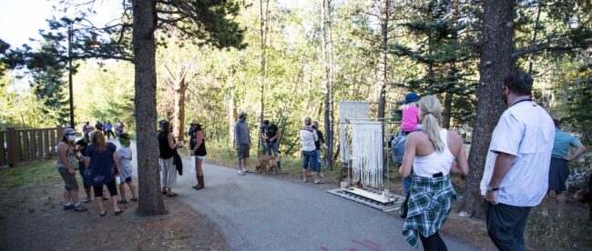 Silverthorne First Friday