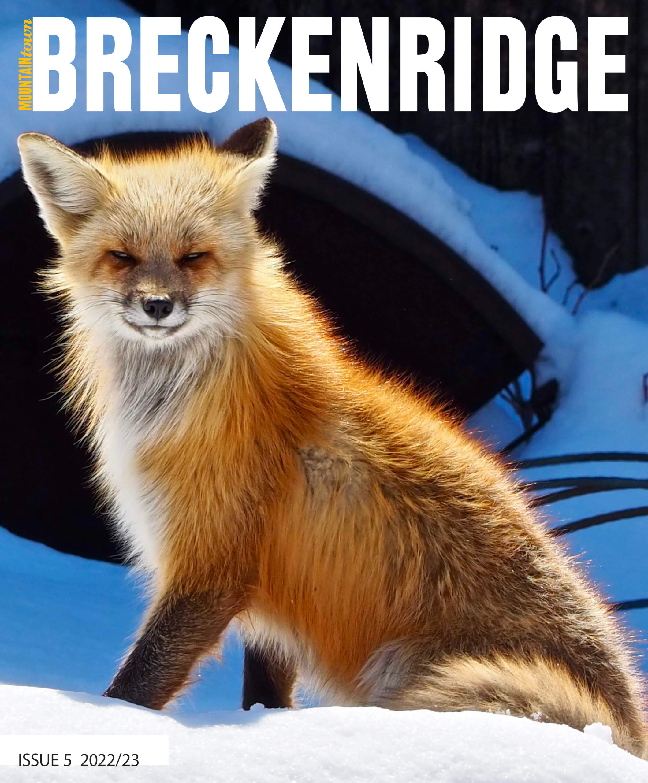 Mountain Town Breckenridge Magazine Winter Issue 5