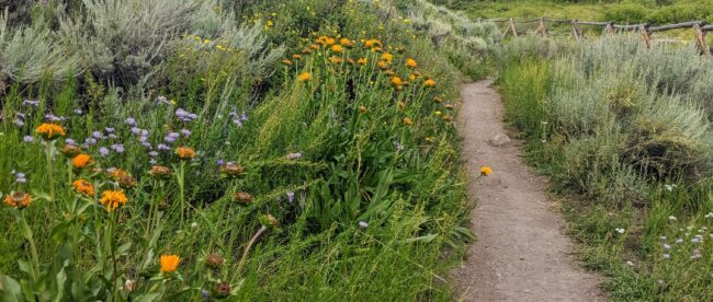 Best Hiking in Colorado