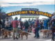 Goldens in Golden 2022