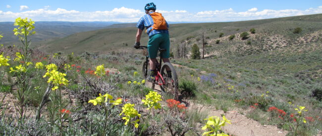 Biking Colorado - Gunnison Single Track