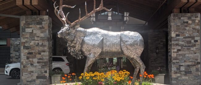 ART - Elk 2