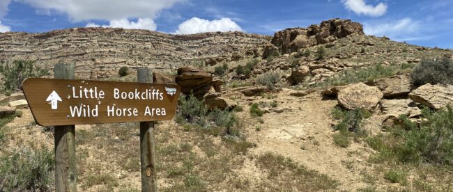 FEATURE - Wild Horses Area Sign jpg
