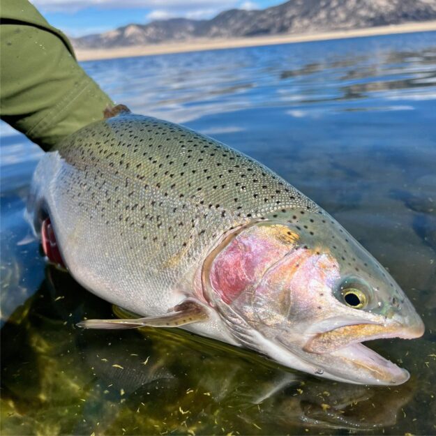 BRECKENRIDGE OUTFITTERS